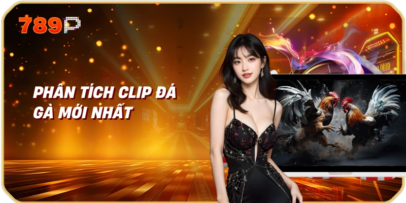 Clip đá gà mới nhất Xu hướng và sự phát triển 3 Phân tích clip đá gà mới nhất